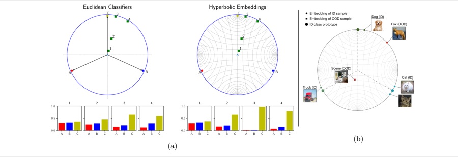 Hyperbolic embeddings of in-distribution and out-of-distribution samples in the Poincare disk